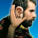 Giant Ears