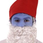 Gnome Hat and Beard