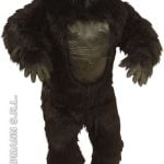 Gorilla