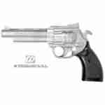 Gun