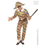 Harlequin Costume