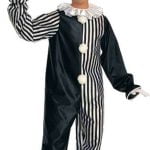 Harlequin Clown