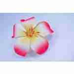 Hawaain Flower Hair Clip Fucshia & White