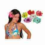 Hawaiian Hair Clip