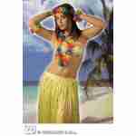 Hawaiian Set Lei, head and wristband