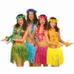 Hawaiian Skirt & Lei Set