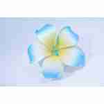 Hawaiin Flower Hair Blue and White Clip