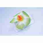 Hawaiin Flower Hair Clip Green
