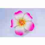Hawaiin Flower Hair Clip Pink And White