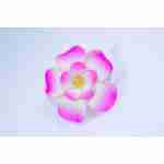 Hawaiin Flower Hair Clip Pink