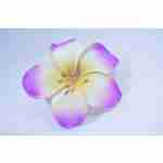 Hawaiin Flower Hair Clip Purple & White
