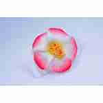 Hawaiin Flower Head Clip Blue & White