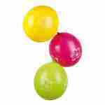Hibiscus Balloons