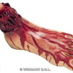 Human Size Cut-Off Feet