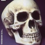 Human Sized Skulls