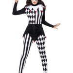 Jester Costume