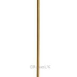 Joker Cane