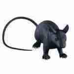Jumbo Rubber Rat