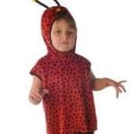 Ladybird Tabard