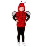 Ladybug Tabard (3-5 Years)