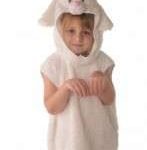 Lamb Tabard (Child Size)