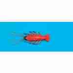 Lobster- 18cm