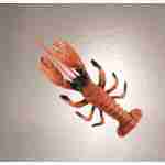 Lobster - 28cm