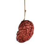 Meat Market Brain