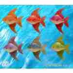 Medium Fish