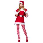 Mrs. Santa Clause Costume