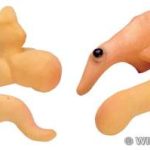 Nose - Style 4