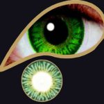 Persian Green Contact Lens - 1 Day Use Only