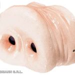 Pig Noses