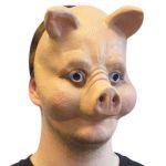 Pig mask