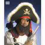 Pirate Beard