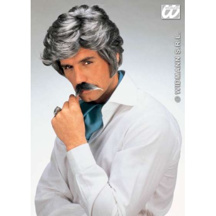 Play Boy Wigs Moustache Grey P6234 a img
