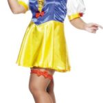 Plus-size female fairytale costume