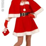 Professional Miss Santa dress