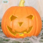 Pumpkin With Light