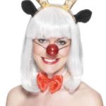 Reindeer Set
