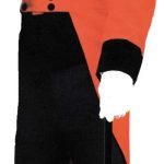 Ringmaster Coat