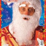 Santa Claus Wig