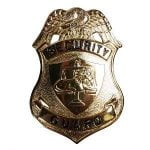 Security Guard Badge Gold