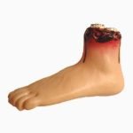 Severed Foot