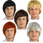 Short Male Wig