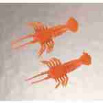Shrimp
