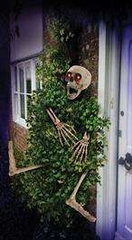 Skeleton-Light-Up-6573.jpg Skeleton Light Up - Image 1