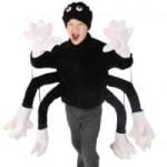 Spider Costume