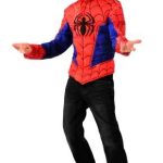 Spider-Man Into the Spider-Verse