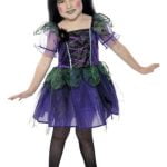 Spider Witch Costume
